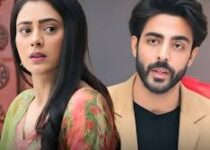 Ishani On Starlife Full Story, Plot Summary, Episodes & Cast