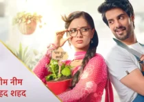 Ideal Son-in-Law on ZeeWorld: Full Story, Plot Summary, Cast & Teasers