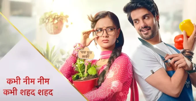 Ideal Son-in-Law on ZeeWorld: Full Story, Plot Summary, Cast & Teasers